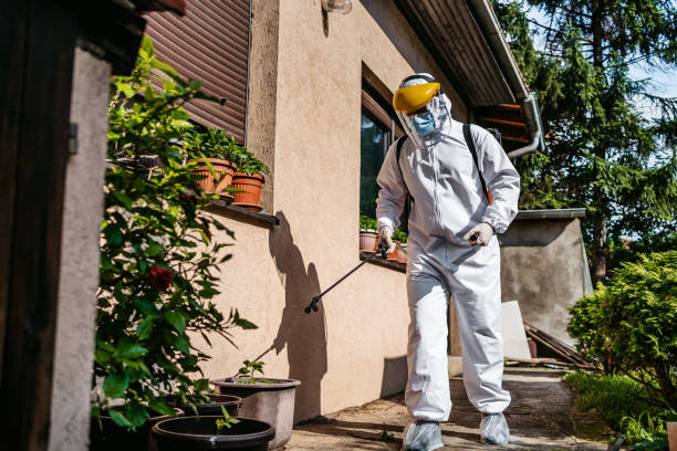 Best Best Pest Control Companies  in Sur Hill, GA