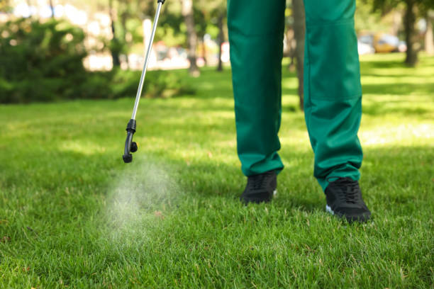 Wasp Removal Services in Sugar Hill, GA