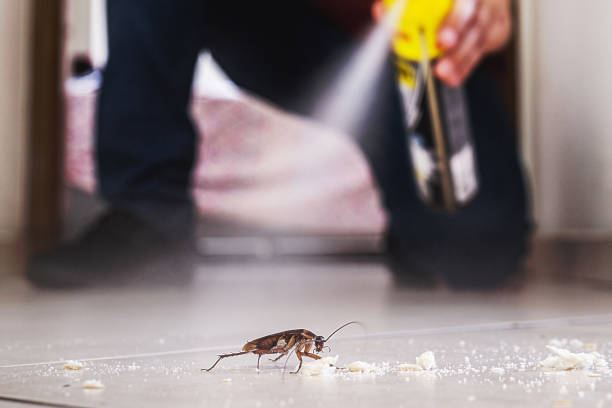 Reliable Sugar Hill, GA Pest Control Solutions